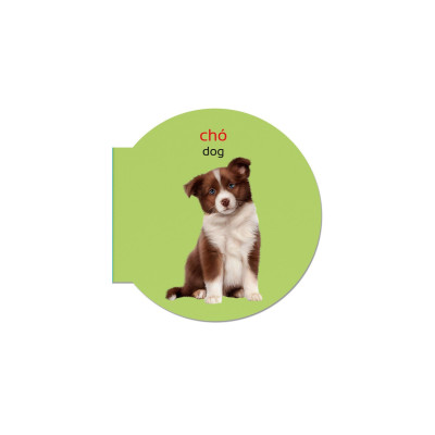Picture Dictionary - Từ Điển Bằng Hình - Domestic Animals - Động Vật Nuôi - Bìa Cứng (Tái Bản 2023)