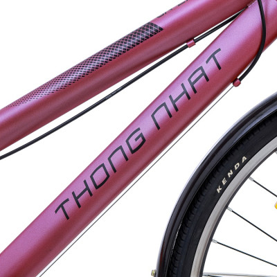 Xe đạp Thống Nhất thể thao GN06 2.0 pro Blackpink phiên bản đặc biệt