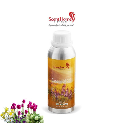 Tinh dầu Spring Warm - ScentHomes (Spring Warms - 50ml,100ml,250ml)