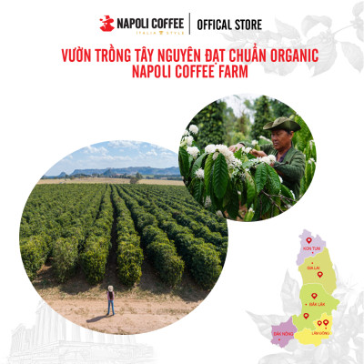 Cà phê hòa tan sữa đá 3in1 nguyên chất Arabica/Robusta Napoli Coffee túi lớn (35 gói x 22g)
