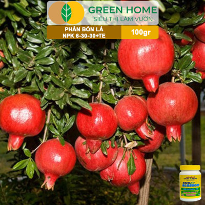 Phân Bón Lá Grow More NPK 6-30-30, GreenHome, Chai 100GR, Kích Ra Hoa, Tăng Đậu Quả