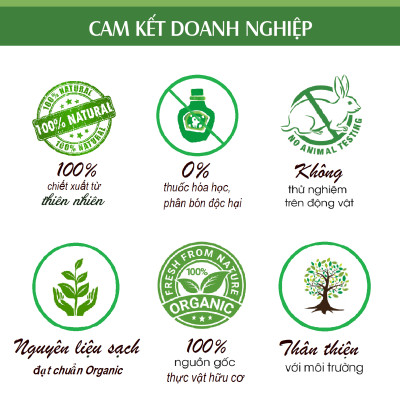 Tinh dầu hoa ngũ sắc (hoa cứt lợn, hoa cỏ hôi, hoa ngũ vị) nguyên chất từ thiên nhiên - KingOil