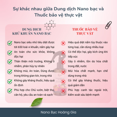 Xịt Trị Nấm Cây & Hoa Nano Bạc Hoàng Gia Khử Khuẩn Cho Cây Cảnh, Hoa Lan, Hoa Hồng - 200ml