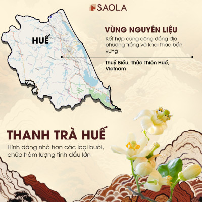 Tinh dầu Bưởi Thanh Trà Huế 30ml (Pomelo Peel oil) - giúp giữ ấm, tránh gió và xua đuổi côn trùng, lọc không khí - Hành Chính Hãng