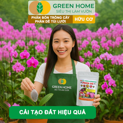 Phân Dê Trồng Lan Greenhome, Túi Lưới Dài 10cm, Đã Qua Xử Lý, Không Mùi, Kích Rễ Phong Lan, Hoa Đậm Màu Lâu Tàn