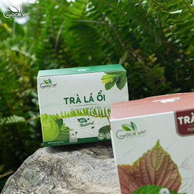 Combo Family Goce (1 hộp Trà lá ổi 40g, 1 hộp Trà tía tô 40g, 1 hộp Trà lá sen 40g)