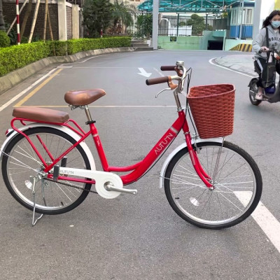 Xe đạp mini Thống Nhất Autumn LD 24-01 - Hàng chính hãng