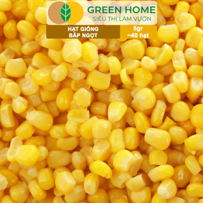 Hạt Giống Bắp Ngọt, Greenhome, Gói 5GR~40 hạt, Dễ Trồng Quanh Năm, Nảy Mầm Cao, T29