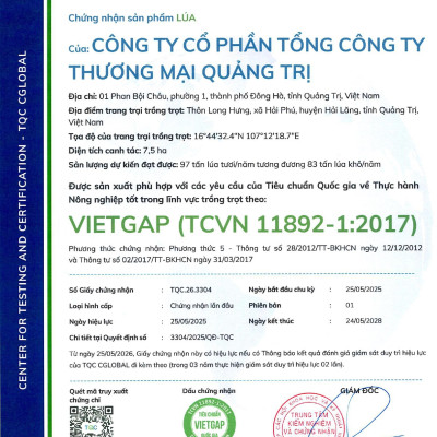 Gạo Quảng Trị VIETGAP) tốt cho NGƯỜI TIỂU ĐƯỜNG, GÚT, BÉO PHÌ TÚI 5 KG