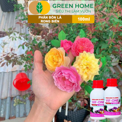 Phân Bón Lá Rong Biển Greenhome, Lavamix, Chai 100ml, Hữu Cơ, Ra Hoa, Đậu Trái, Chắc Hạt, Tăng Khả Năng Ra Đọt