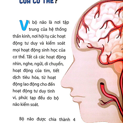 Sách - 10 Vạn Câu Hỏi Vì Sao-Những Câu Hỏi Thú Vị Về Cơ Thể Người