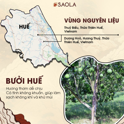 Tinh dầu Bưởi Huế thương hiệu Làng Hạ 30ml (Pomelo Peel oil): Giúp chăm sóc tóc, giảm rụng tóc, xông phòng, lọc không khí - Hàng Chính Hãng