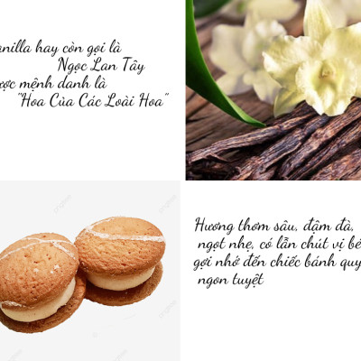 Nến Thơm, Tinh Dầu Coconut-Vanilla, Nến Thơm Phòng, [Ly 300g], Đến Từ Shop R2D, Làm Từ Thành Phần Tự Nhiên, Lành Tính.