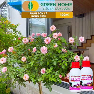 Phân Bón Lá Rong Biển Greenhome, Lavamix, Chai 100ml, Hữu Cơ, Ra Hoa, Đậu Trái, Chắc Hạt, Tăng Khả Năng Ra Đọt