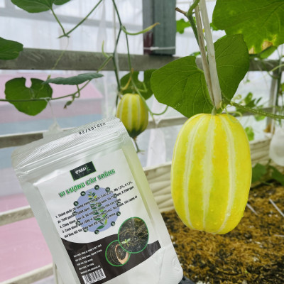 Phân Bón Vi Lượng Hữu Cơ PMP Bổ Sung Vi Lượng Cho Hoa Hồng, Rau Sạch, Cây Cảnh, Bon Sai 150g