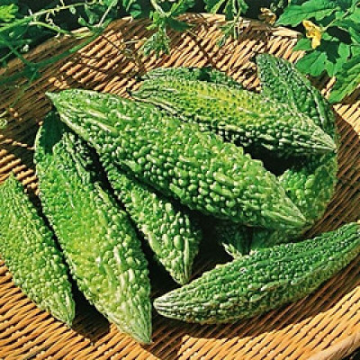 Hạt giống khổ qua rừng trái Dài giống kháng sâu bệnh - nảy mầm khỏe VTP126