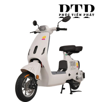 Xe Điện TAILG GR55