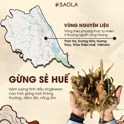 Tinh dầu Gừng Huế 10ml (Ginger oil)