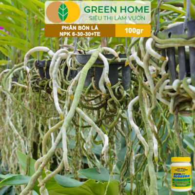 Phân Bón Lá Grow More NPK 6-30-30, GreenHome, Chai 100GR, Kích Ra Hoa, Tăng Đậu Quả