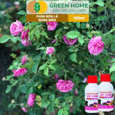Phân Bón Lá Rong Biển Greenhome, Lavamix, Chai 100ml, Hữu Cơ, Ra Hoa, Đậu Trái, Chắc Hạt, Tăng Khả Năng Ra Đọt