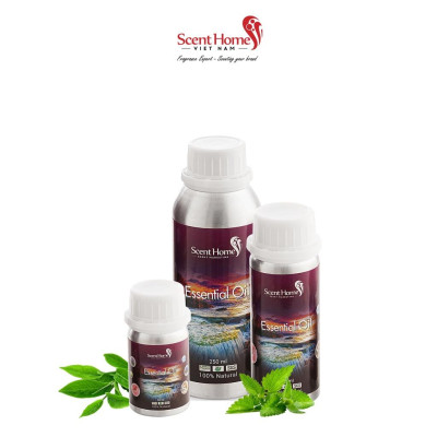 Tinh dầu nước hoa Tea & Mint- ScentHomes (Tea & Mint- 50ml,100ml,250ml)