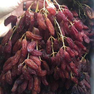 Nho khô nguyên cành THOMPSON Úc Dried Grapes Adora st Food (mẫu Quà Tết 1kg/hộp) ngon, bổ dưỡng, giàu vitamin, khoáng chất tự nhiên-QuaTangMe Extaste
