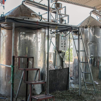 Tinh dầu Táo 10ml Mộc Mây - tinh dầu thiên nhiên nguyên chất 100% - chất lượng và mùi hương vượt trội - Có kiểm định