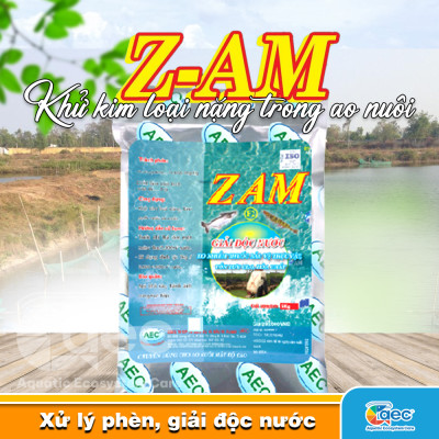 Z AM - Giải pháp xử lý cải thiện chất lượng nước ao nuôi tôm cá