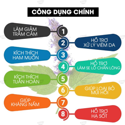 Tinh Dầu Hoắc Hương Kobi Patchouli Essential Oil Giúp Thư Giãn, Giảm Stress Hiệu Quả - 5ml