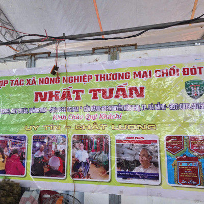 Chổi đót quét nhà, chổi chít cán trúc rẻ bền đẹp Cao Cấp Đã Làm Sạch Bụi Bông Cỏ