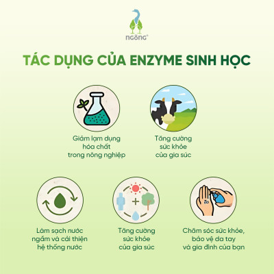Lau Đa Năng Fuwa3e Cho Kính Bếp Sàn Ban Thờ Sạch Bong Mọi Bề Mặt Hương Nhu - Bạc Hà Thơm Mát Chai 500ml