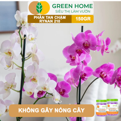 Phân Tan Chậm Greenhome, Rynan 210, Hũ 150gr, Dùng Cho Phong Lan Trưởng Thành, Bonsai, Đủ Dưỡng Chất Cho 120 Ngày