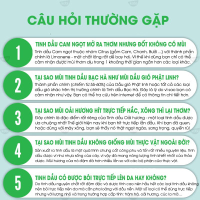 Tinh Dầu Bạc Hà Lục Kobi - Tinh Dầu Thiên Nhiên Nguyên Chất, Tinh Dầu Xông Phòng, Giúp Giảm Stress, Xua Đuổi Côn Trùng Và Khử Mùi Hiệu Quả, Thích Hợp Dùng Với Đèn Xông Và Máy Khuếch Tán Tinh Dầu (5ml)