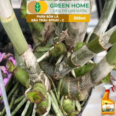 Phân Bón Lá Đầu Trâu Spray-2 Greenhome, Bình Điền, Chai 500ml, Kích Thích Ra Hoa, Chuyên Lan Và Hoa