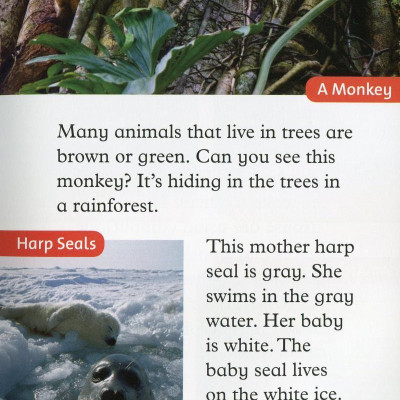 Oxford Read and Discover: Level 2: Camouflage