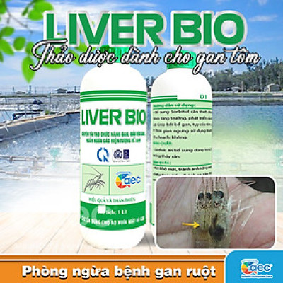 Chế phẩm thảo dược Liver Bio – Hỗ trợ chức năng gan và tiêu hóa cho tôm cá
