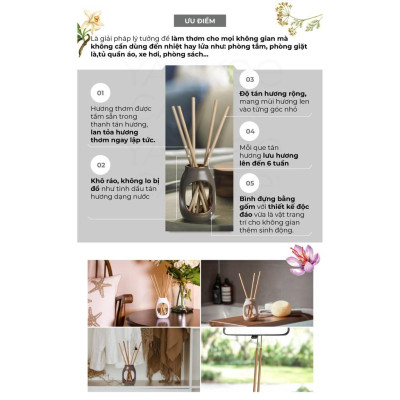 Refill Tinh dầu tán hương dạng thanh Yankee Candle - Beach Walk (gồm 5 thanh tán hương, không kèm lọ)