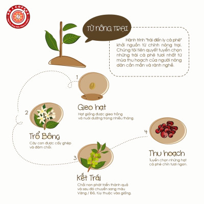 Cà Phê [SỐ 1 COFFEE] - Cà Phê Nguyên Chất GU CHUẨN Hương Vị Hài Hòa, Tinh Tế, Loại Cà Phê Rang Xay Pha Máy, Rang Theo Công Nghệ Hot Air Chất Lượng Ổn Định, Đồng Đều- Túi 500Gam