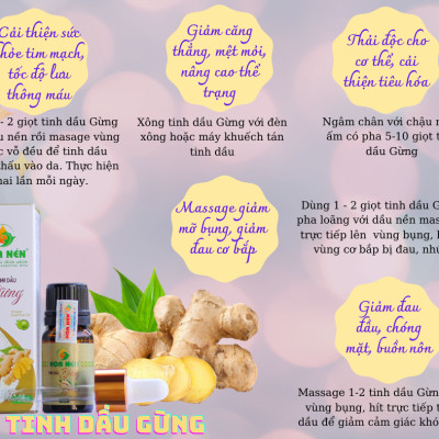 Tinh dầu Gừng nguyên chất Hoa Nén 5ml - Giảm đau đầu, say tàu xe, hỗ trợ tiêu hoá