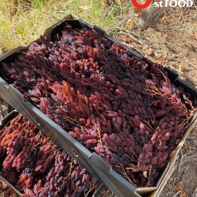 Nho khô nguyên cành THOMPSON Úc Dried Grapes Adora st Food (mẫu Quà Tết 1kg/hộp) ngon, bổ dưỡng, giàu vitamin, khoáng chất tự nhiên-QuaTangMe Extaste