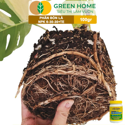 Phân Bón Lá Grow More NPK 6-30-30, GreenHome, Chai 100GR, Kích Ra Hoa, Tăng Đậu Quả