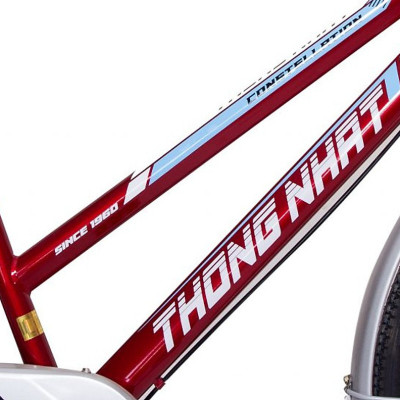 Xe đạp Thống Nhất GN 06-24 - Hàng chính hãng