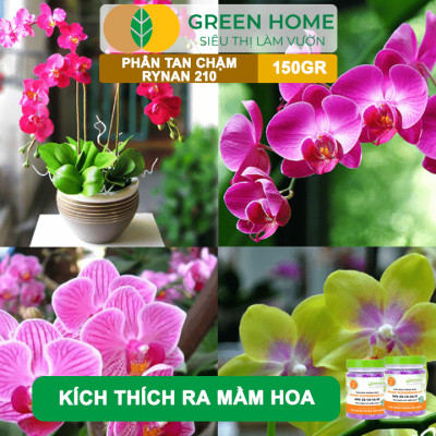 Phân Tan Chậm Greenhome, Rynan 210, Hũ 150gr, Dùng Cho Phong Lan Trưởng Thành, Bonsai, Đủ Dưỡng Chất Cho 120 Ngày