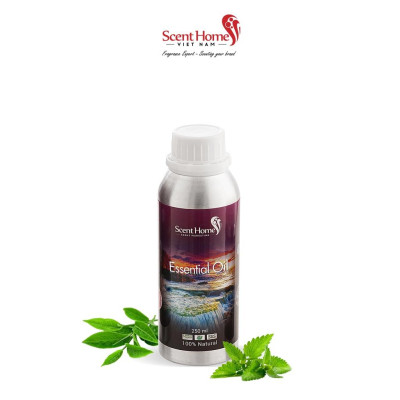 Tinh dầu nước hoa Tea & Mint- ScentHomes (Tea & Mint- 50ml,100ml,250ml)