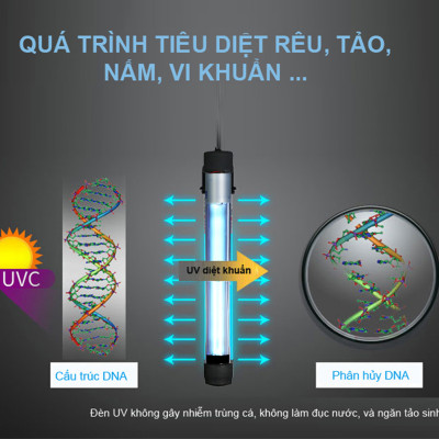  Đèn UV 5W - 200W Diệt Khuẩn Hồ Cá Lớn, Xử Lý Nước Thải, Sinh Hoạt, Sạch Nước 7 Ngày
