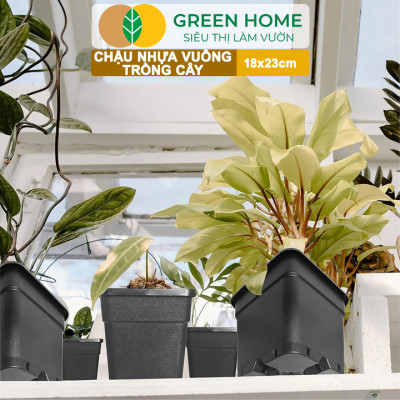 Chậu Vuông Trồng Cây Greenhome, Nhiều Kích Thước, Nhựa Cứng, Thoát Nước Tốt, Trồng Hoa, Kiểng Lá