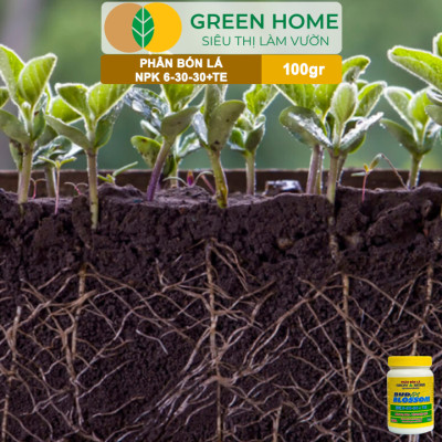 Phân Bón Lá Grow More NPK 6-30-30, GreenHome, Chai 100GR, Kích Ra Hoa, Tăng Đậu Quả