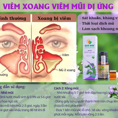 Tinh dầu hoa Ngũ sắc (cỏ hôi) nguyên chất Hoa Nén 5ml - 10ml - Đặc trị viêm xoang, viêm mũi dị ứng