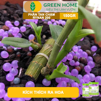 Phân Tan Chậm Greenhome, Rynan 200, Hũ 150gr, Dành Cho Phong Lan Con, Bonsai Kích Chồi, Đủ Dưỡng Chất Cho 120 Ngày