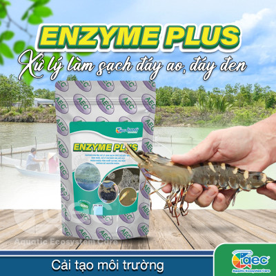 Chế phẩm vi sinh Enzyme Plus – hỗ trợ xử lý bùn đáy ao đáy đen nuôi tôm